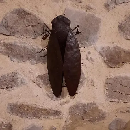 Le Coq Du Nord - Et D'hotes 3* Mailhac