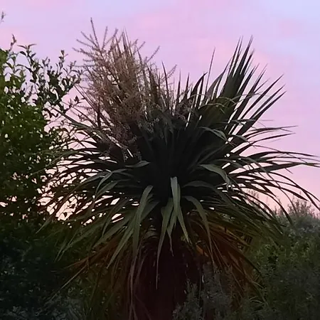 Le Coq Du Nord - Et D'hotes Vendégház Mailhac