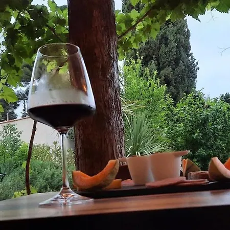 Le Coq Du Nord - Et D'hotes Guest house Mailhac